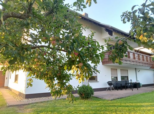 FeWo Wandersnest: Garten und Terassenansicht